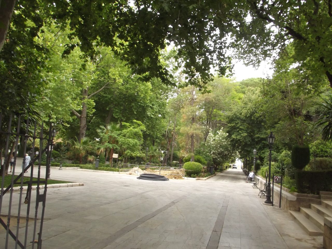 Arbolado de la Alameda del Tajo en verano
