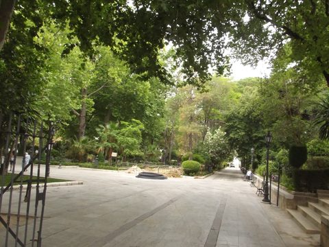 Arbolado de la Alameda del Tajo en verano