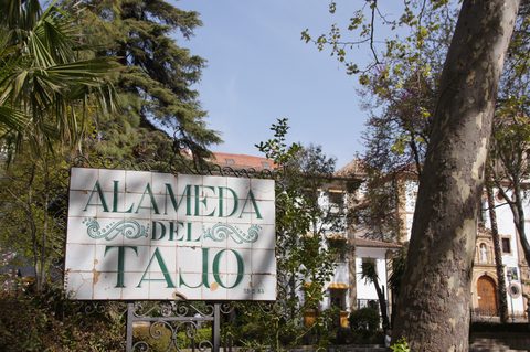 Azulejo de la entrada de la Alameda del Tajo